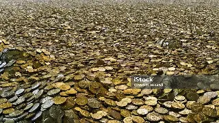 佛山新手贷款指南：从零开始，让你秒懂借钱不踩坑！