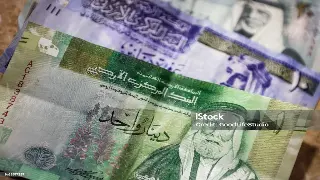 佛山打拼人：我的贷款创业“血泪史”与“干货”分享